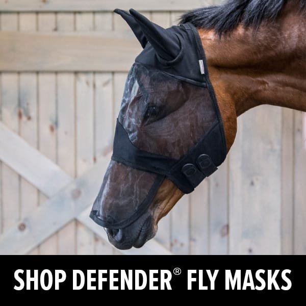 Shop Defender® Fly Masks