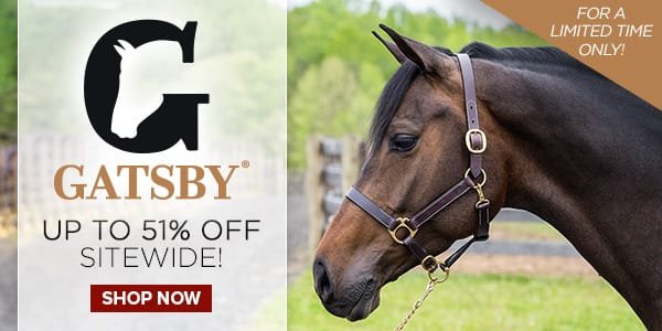 Gatsby® / Up to 51% Off / Sitewide! / Shop Now
