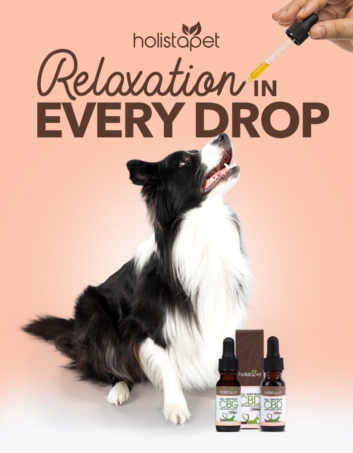 Relaxation in Every Drop