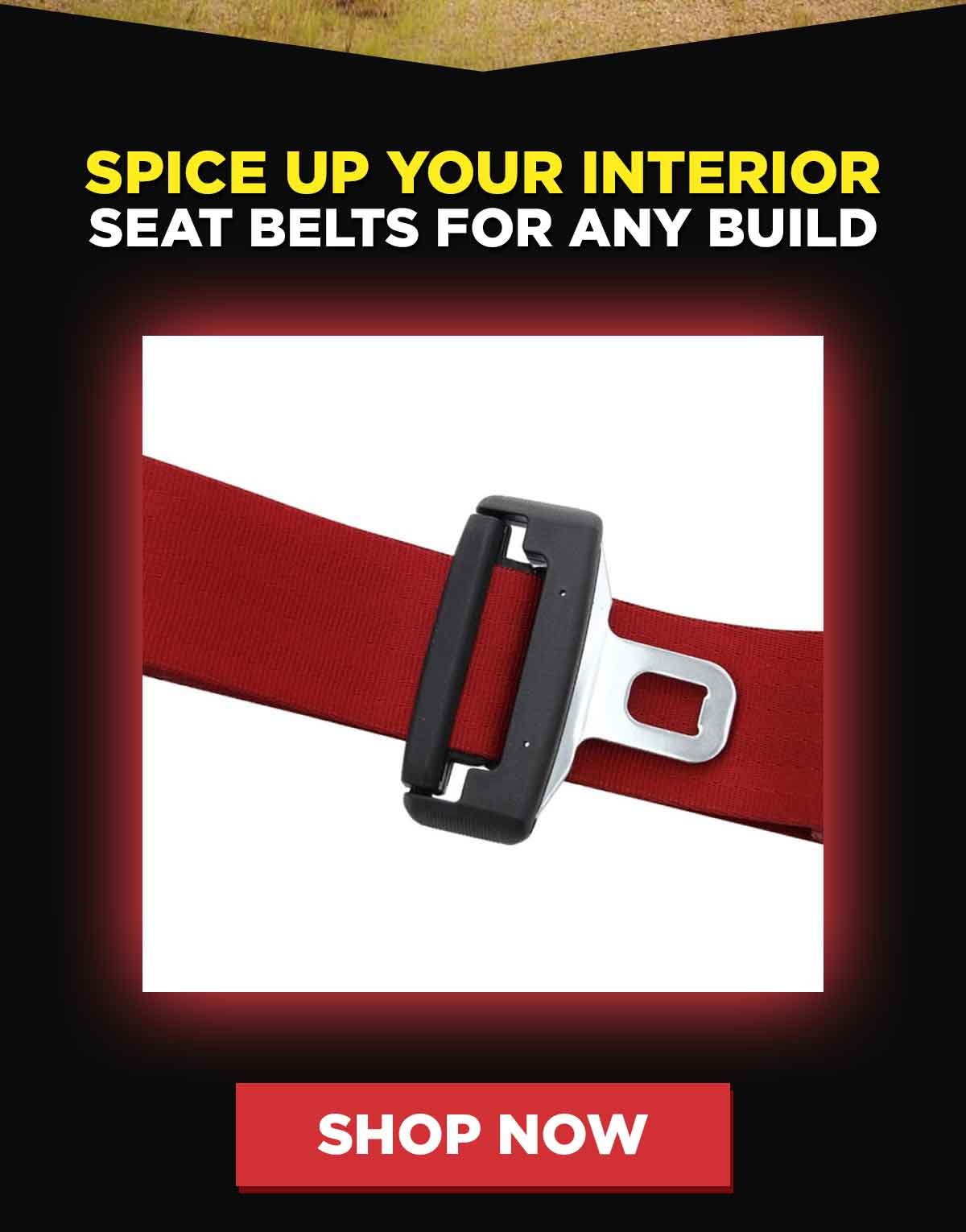 Spice Up Your Interior. Seat Belts for Any Build