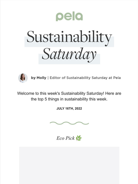 Pela Case: Sustainability Saturday | Climate Tracker Tracks World's ...