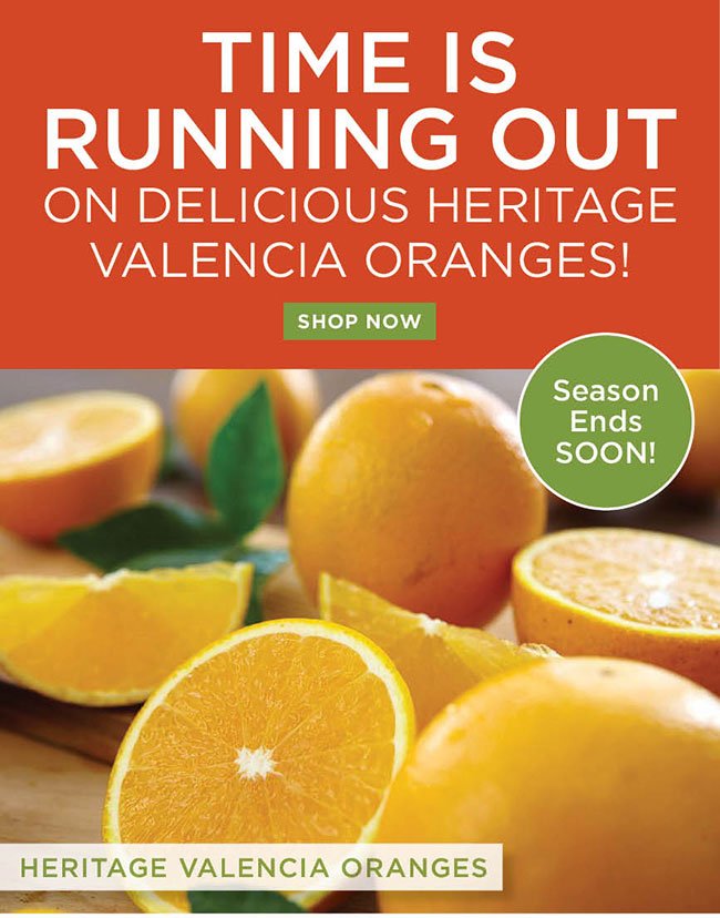 Valencia Orange Season Ending