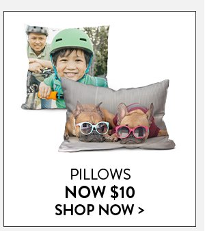 Pillows Now $10 | Shop Now>