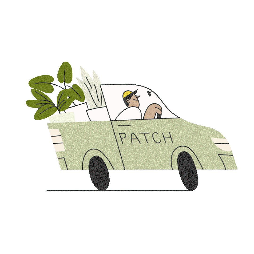 Patch