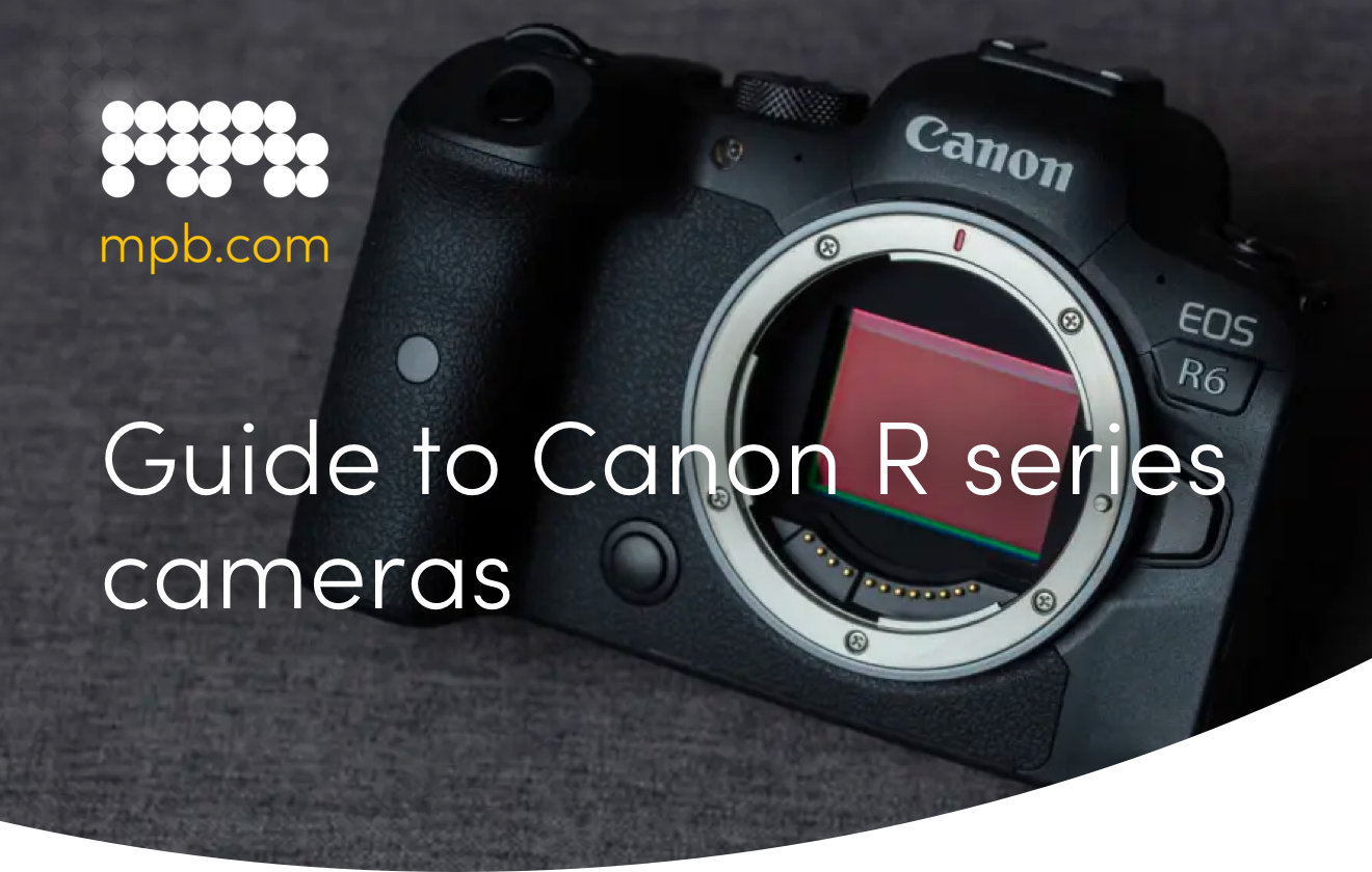 Guide to Canon R series cameras Kit for wildlife photography