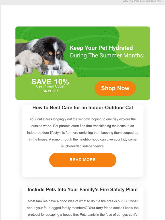 Pet Wellbeing How to Best Care for an IndoorOutdoor Cat Milled