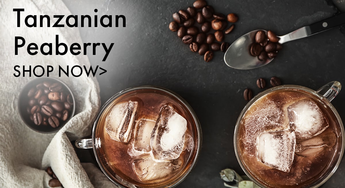 Coffee Bean Direct Discover Why Peaberry Is So Special 😊 Milled