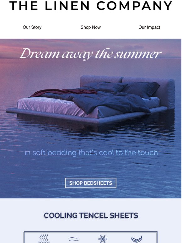 Dream Away The Summer With Your Perfect Companion!
