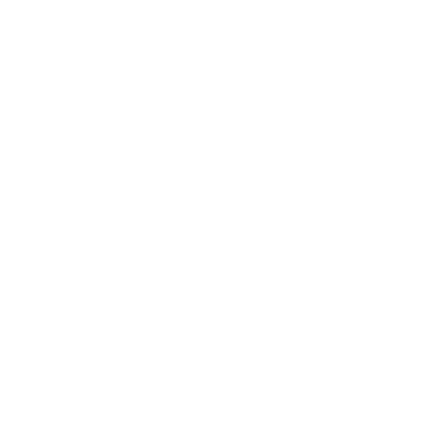 Worldwide shipping