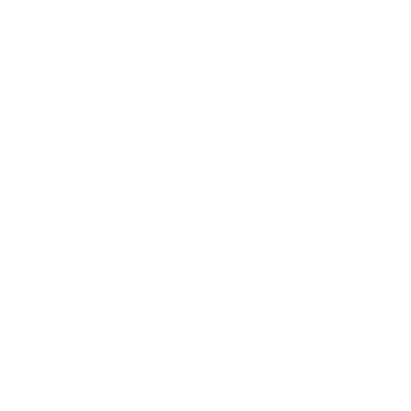 Express delivery