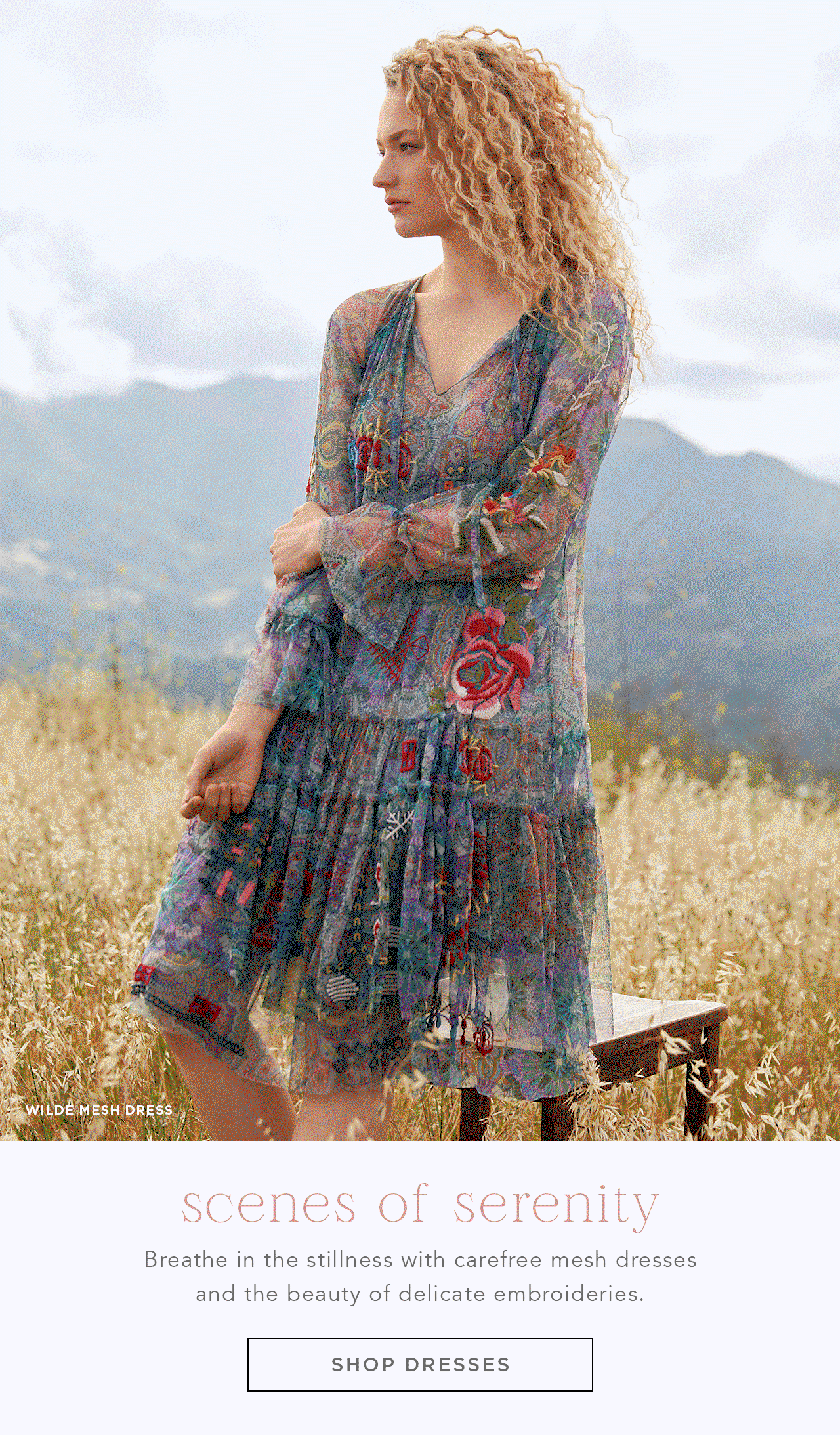 johnny was wilde mesh dress Buy Wilde Mesh Dress