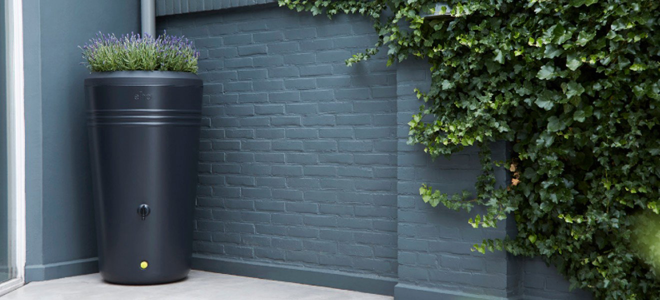 Regenwater voor je binnen- en buitenplanten