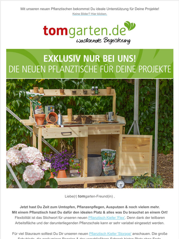 TOM GARTEN ProfiSaatgut und Pflanzenversand 💥Exklusiv nur bei uns