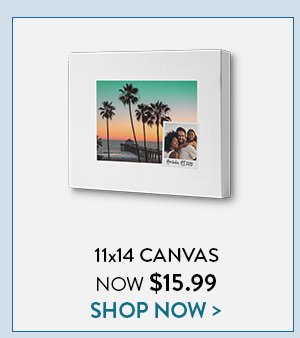 11x14 Canvas Now $15.99 | Shop Now