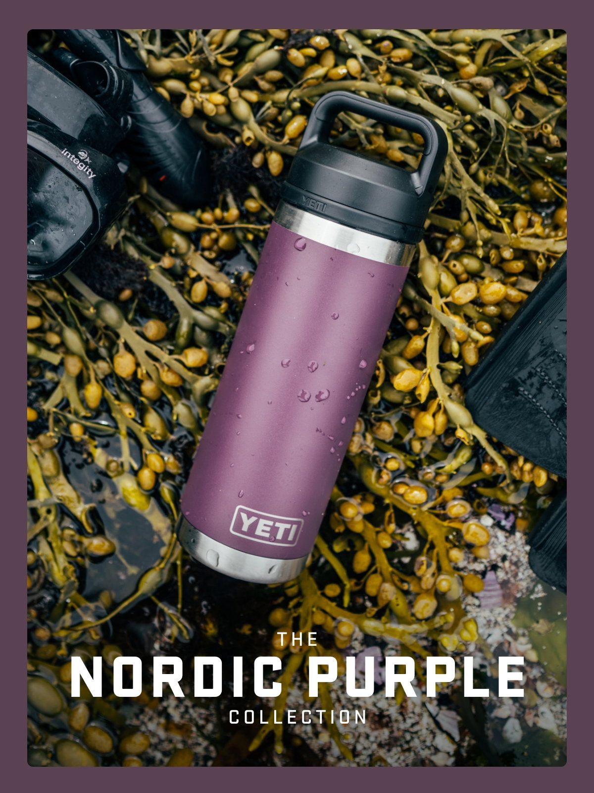 Nordic Purple Collection