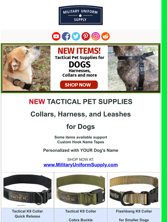 NEW Tactical Gear for Dogs - Custom Name Tapes with YOUR Pet's name