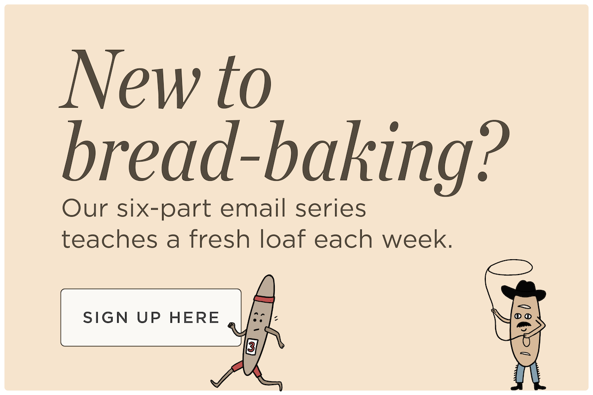 New to  bread-baking? Our six-part series teaches a fresh loaf each week
