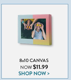 8x10 Canvas Now $11.99 | Shop Now
