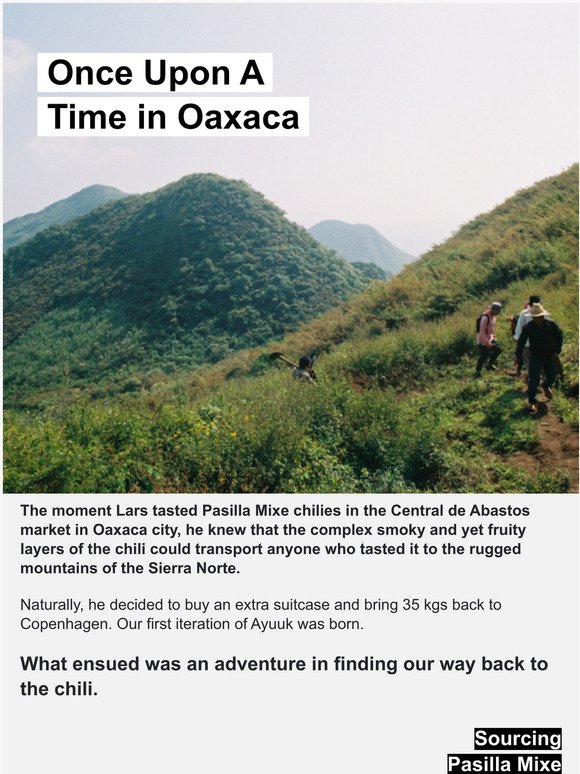Once Upon A Time in Oaxaca