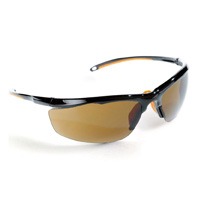 Lunettes de soleil EVALORA Singer