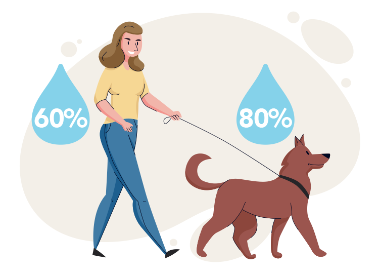 Keeping Your Pets Hydrated