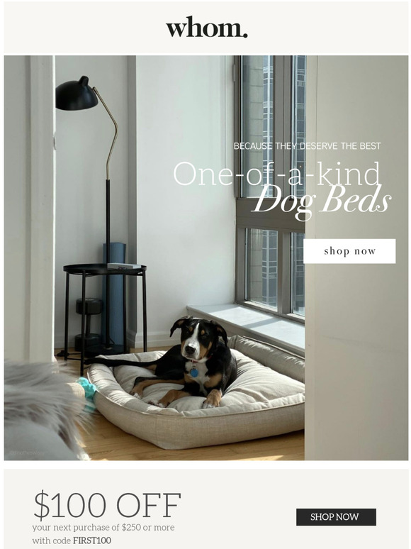 A must have  or your furry best friend  🐶