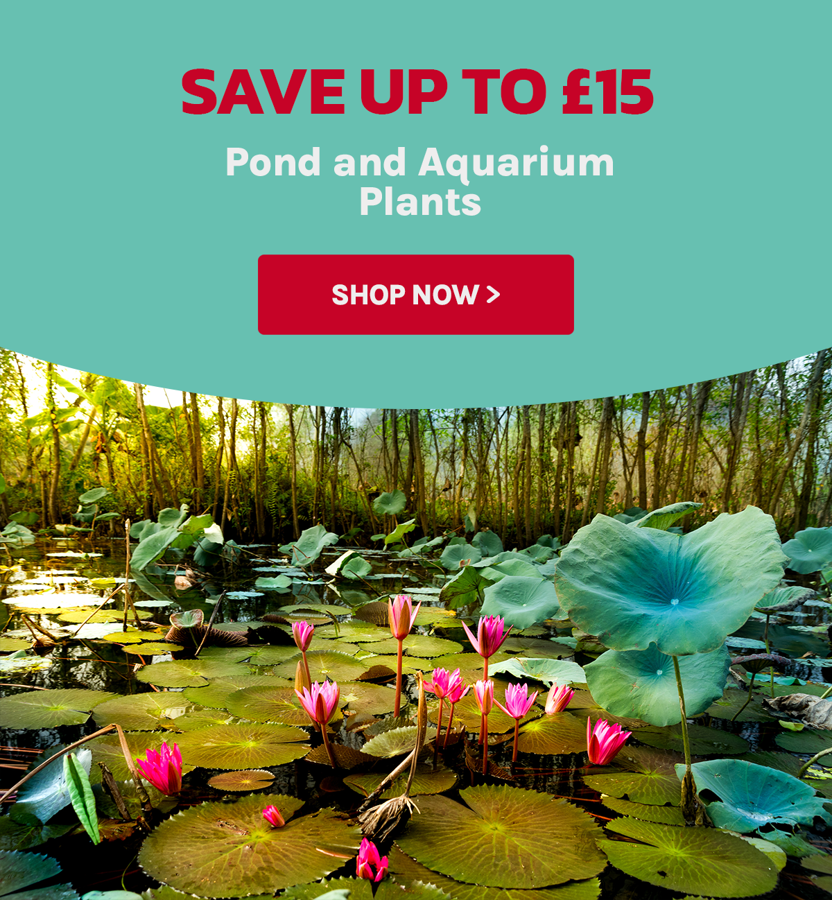 swelluk Aquatic plants for inside and out 🌿 Milled