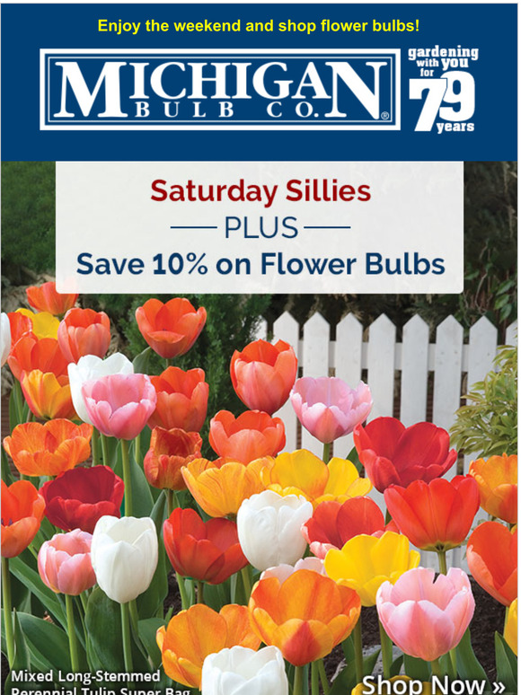 Michigan Bulb How do flowers whistle? With their Tulips 🌷😂 Milled