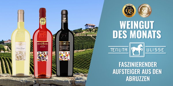 Weingut des Monats: Tenuta Ulisse