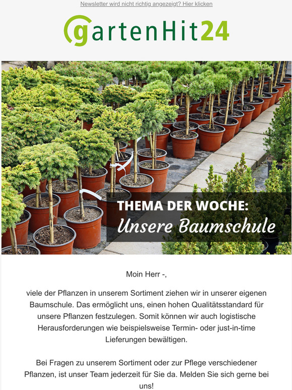 Pflanzen aus unserer Baumschule! 🌳