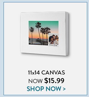 11x14 Canvas Now $15.99 | Shop Now