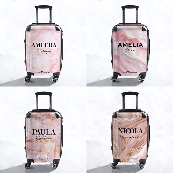 Live X Maintain 10 best suitcases for 2022 holidays Milled