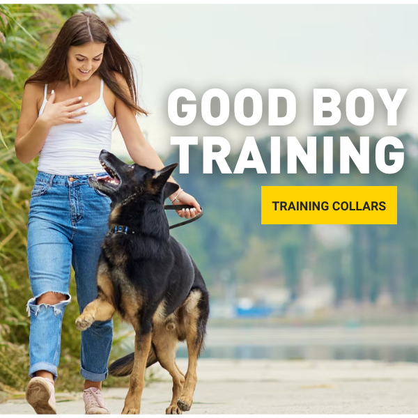 Good boy best sale training collar