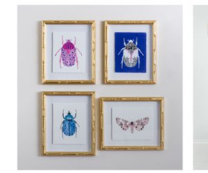 Beetles & Butterflies Framed Art Prints