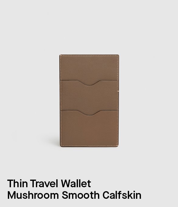 Thin Travel Wallet