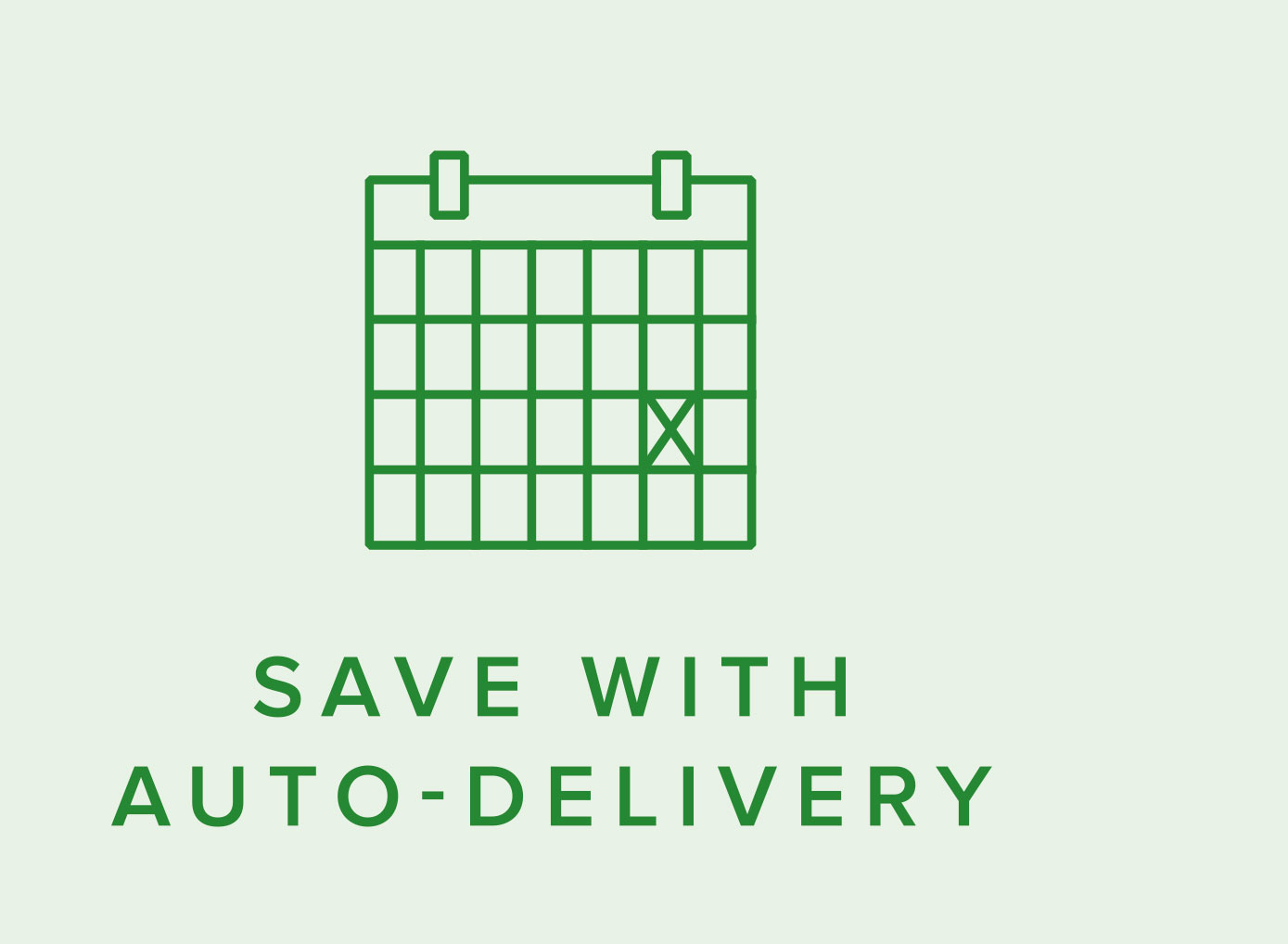 AUTO-DELIVERY PROGRAM