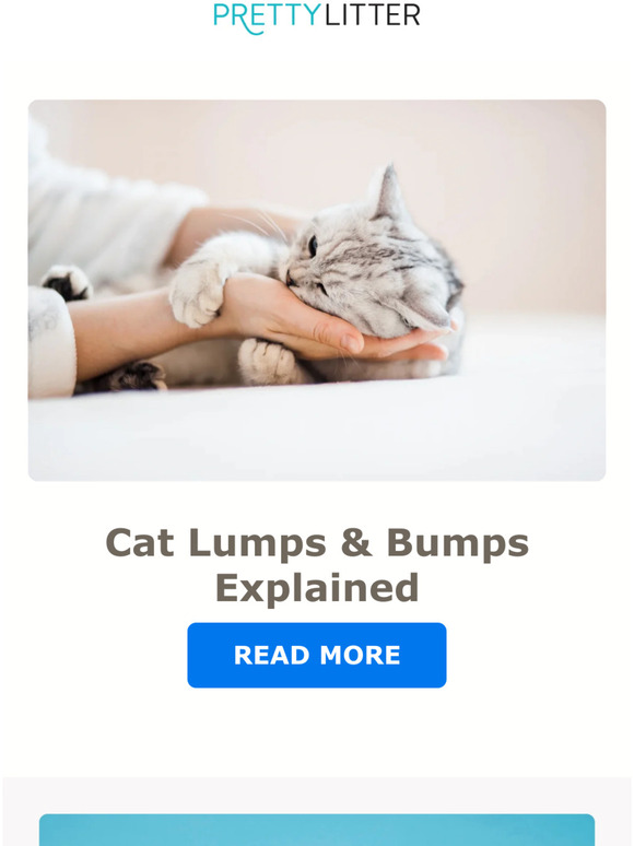 PrettyLitter CA What Causes Lumps And Bumps on Cats? Milled