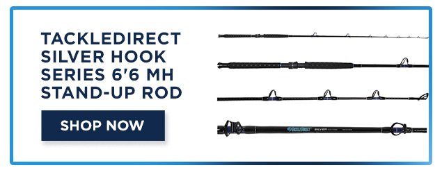 TackleDirect Silver Hook Series 6'6 MH Stand-Up Rod