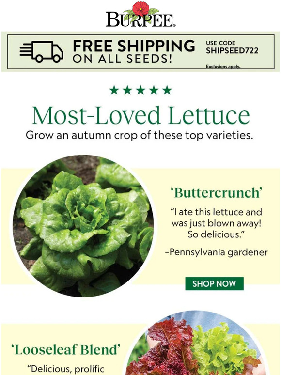 Burpee Gardening MostLoved Lettuce Varieties Milled
