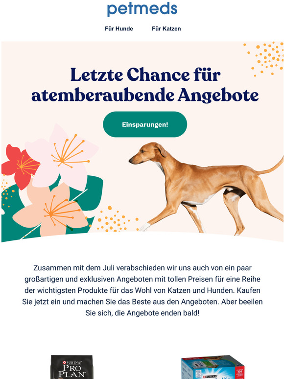 Schnell, diese Angebote enden bald