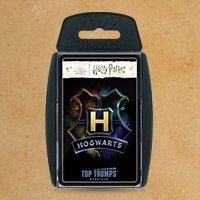 Harry Potter Heroes of Hogwarts TT