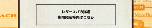 レザースパの詳細 期間限定特典はこちら