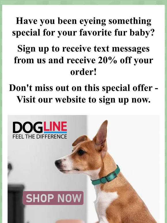 20% Off Is Waiting For You! 🙌