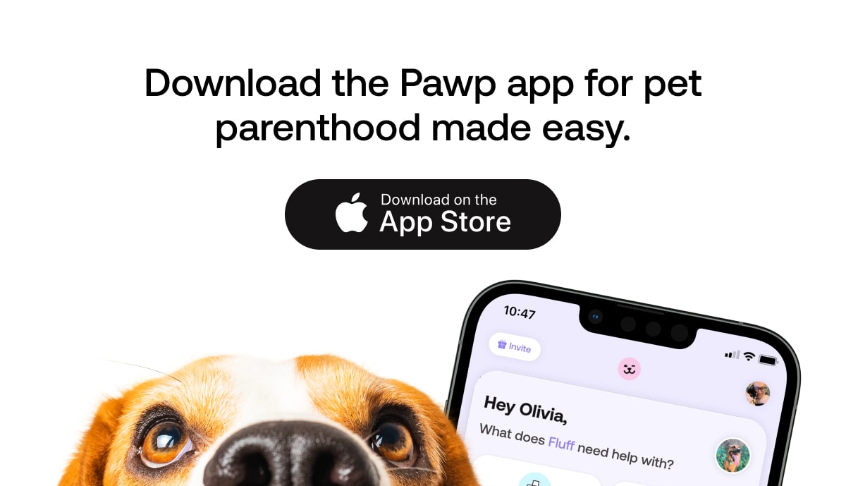 Download the Pawp app today to maximize your experience!