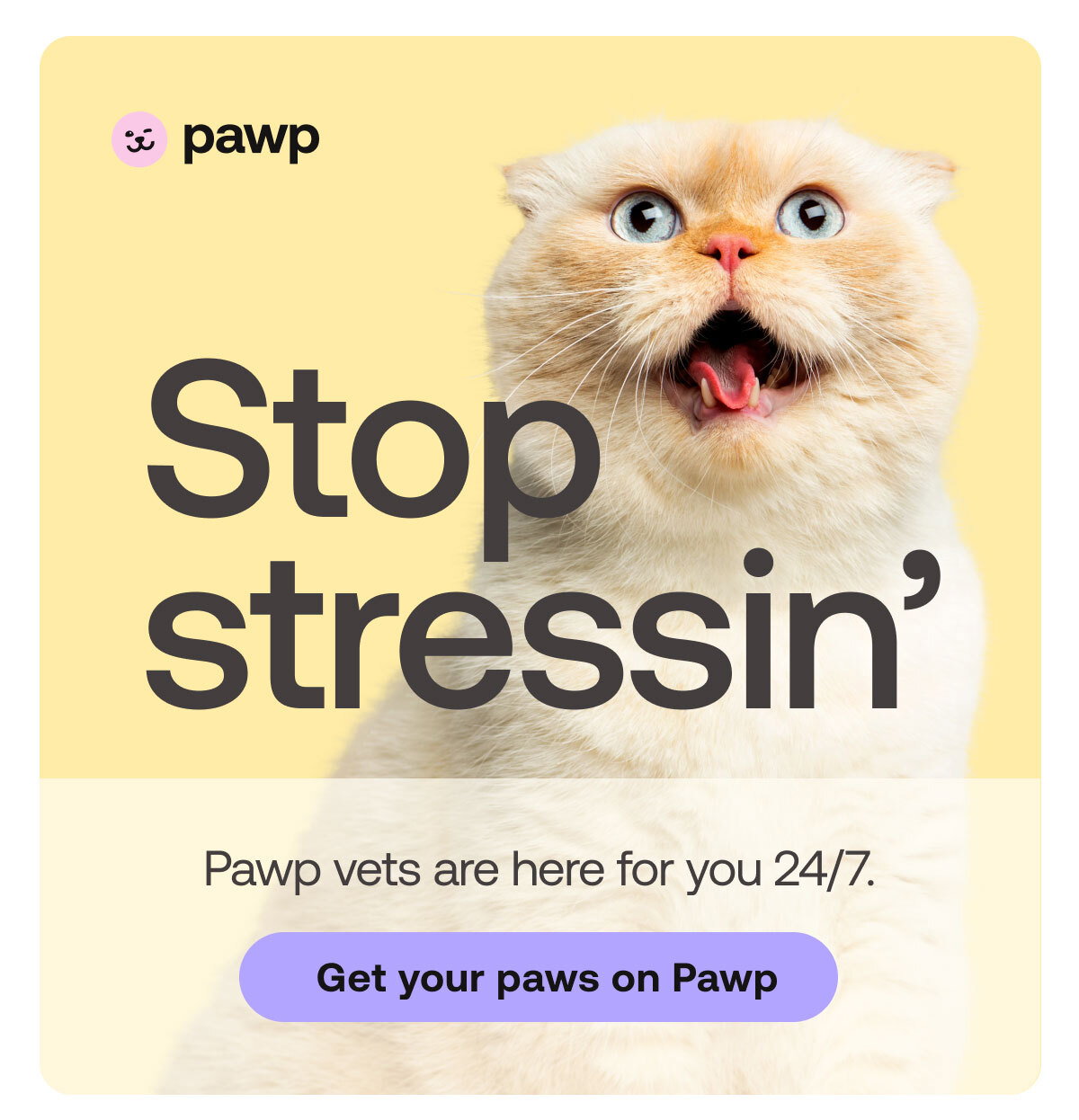 Stop stressin'. Pawp vets are here for you 24/7. Get your paws on Pawp. 