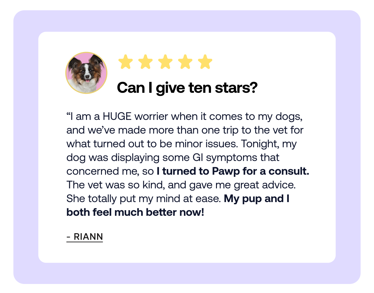 Five star review from our current Pawp member, Riann. “Can I give ten stars? I am a HUGE worrier when it comes to my dogs, and we’ve made more than one trip to the vet for what turned out to be minor
 issues. Tonight, my dog was displaying some GI symptoms that concerned me, so I turned to Pawp for a consult. The vet was so kind, and gave me great advice. She totally put my mind at ease. My pup and I both feel much better now!” 
