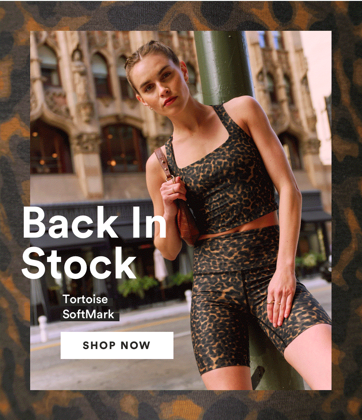 Shop New Tortoise Softmark