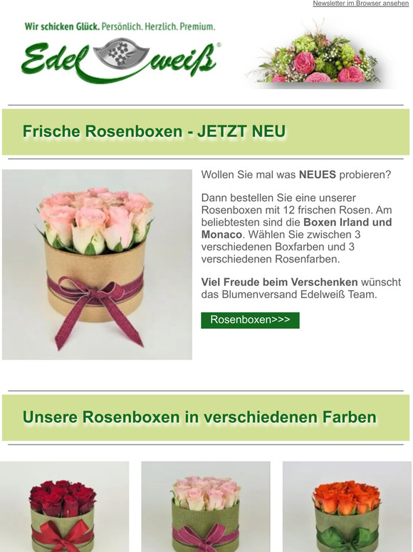 Frische Rosenboxen - JETZT NEU