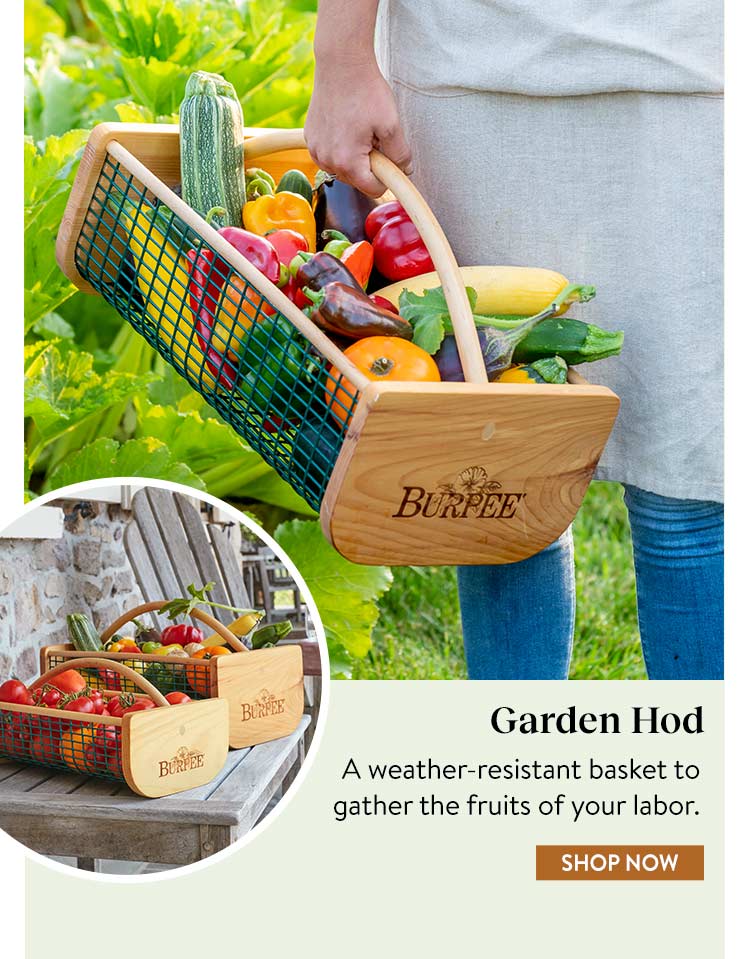 Burpee Gardening Handy Tools for Harvest Season Milled