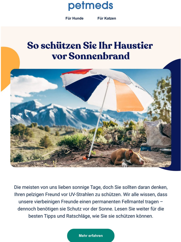 So schützen Sie Ihr Haustier vor der Sonne